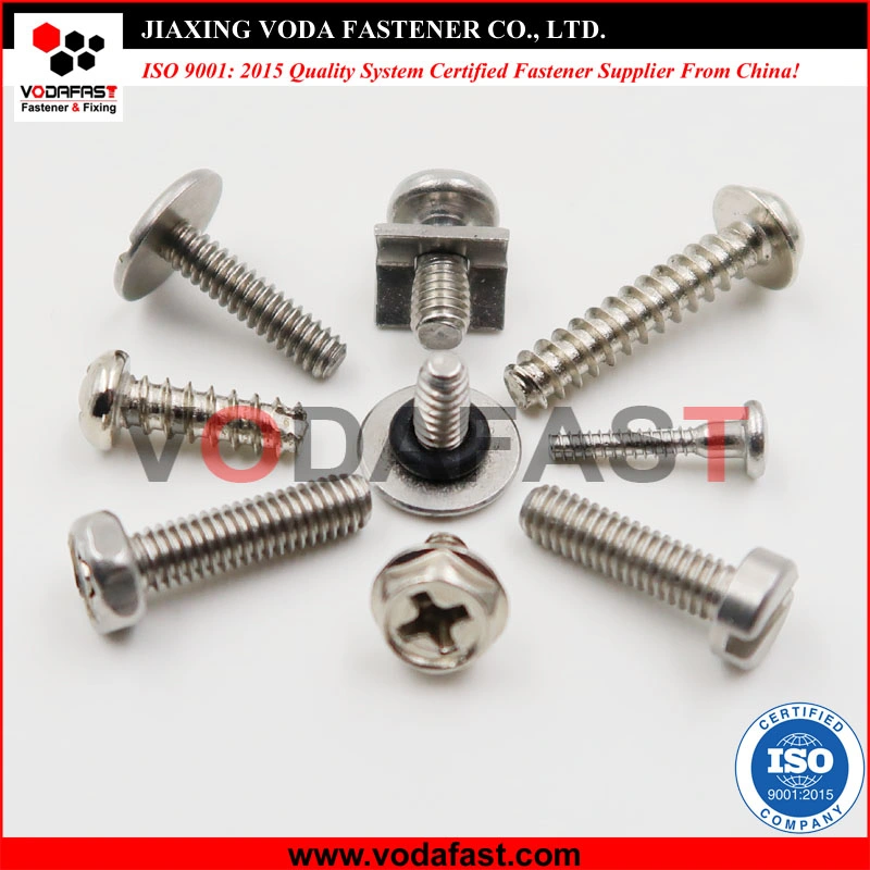 Stainless Steel Machine Screw Self Tapping Screw Self Drilling Screw Socket Screw Wood Screw Set Screws